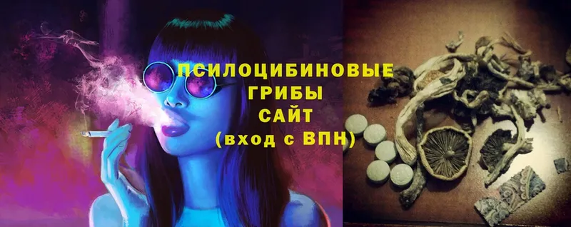 наркошоп  Тольятти  Галлюциногенные грибы Psilocybine cubensis 